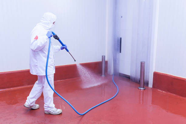 Best Soft Washing  in Williamsport, PA