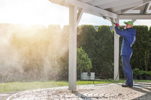 Best Graffiti Removal  in Williamsport, PA