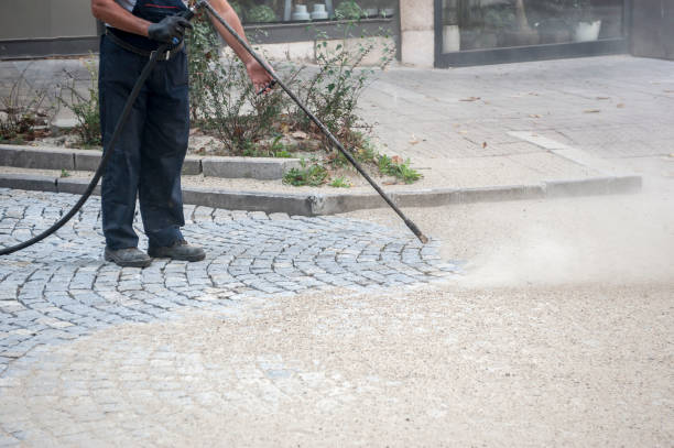 Best Winterizing Services  in Williamsport, PA