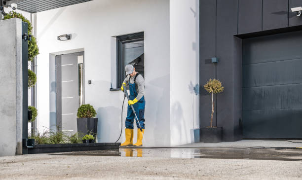 Best Spring Cleaning  in Williamsport, PA